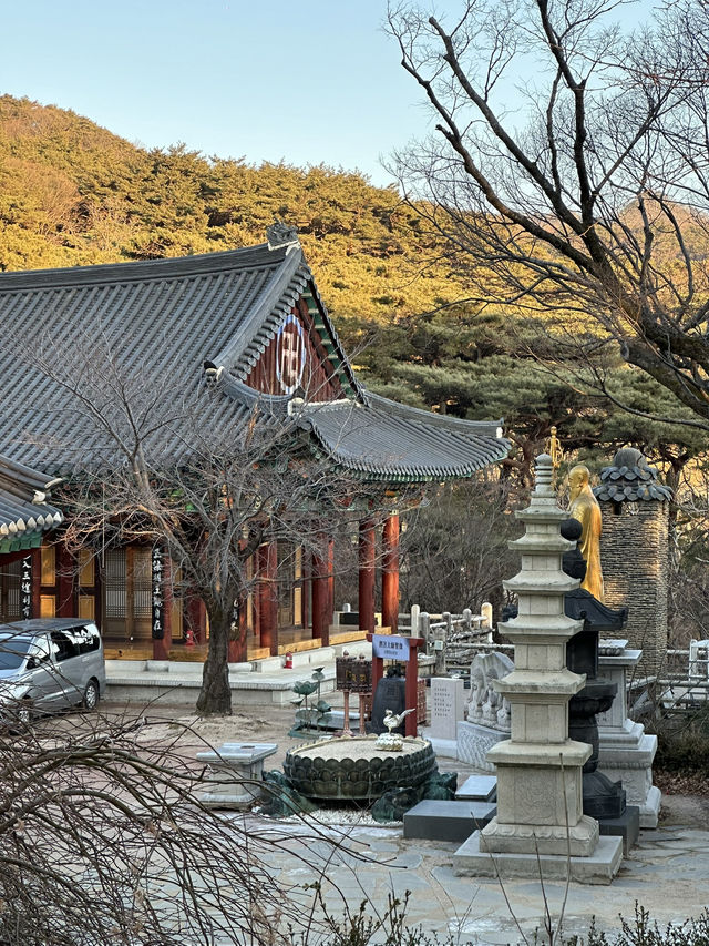 Get Ready to discover the hidden wonders of Daegu!