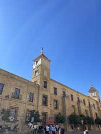Córdoba: History, Culture & Andalusian Charm 🏛️🌿✨