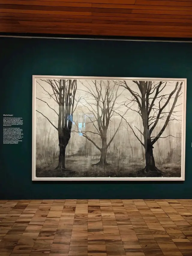 Whitworth’s Tree Gallery — Where Roots Speak and Branches Remember
