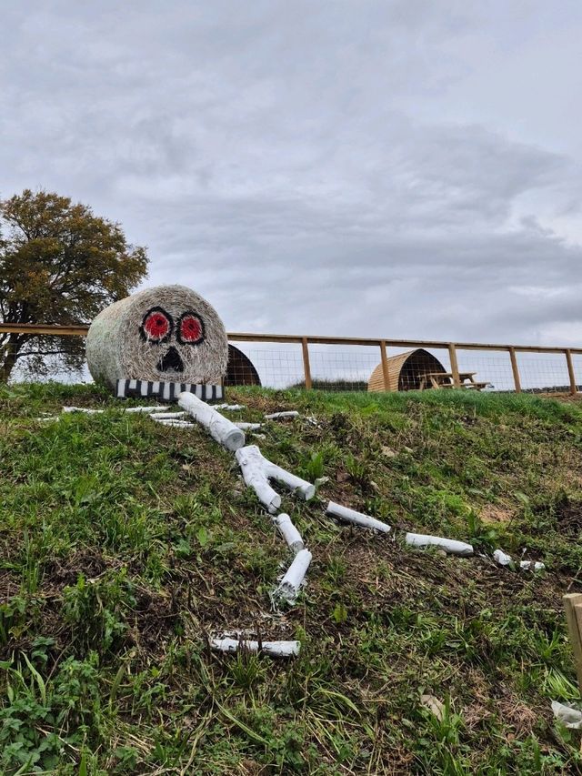 Stouslie Farm Pumpkin Patch, Hawick – A Scenic, Family-Friendly Autumn Adventure
