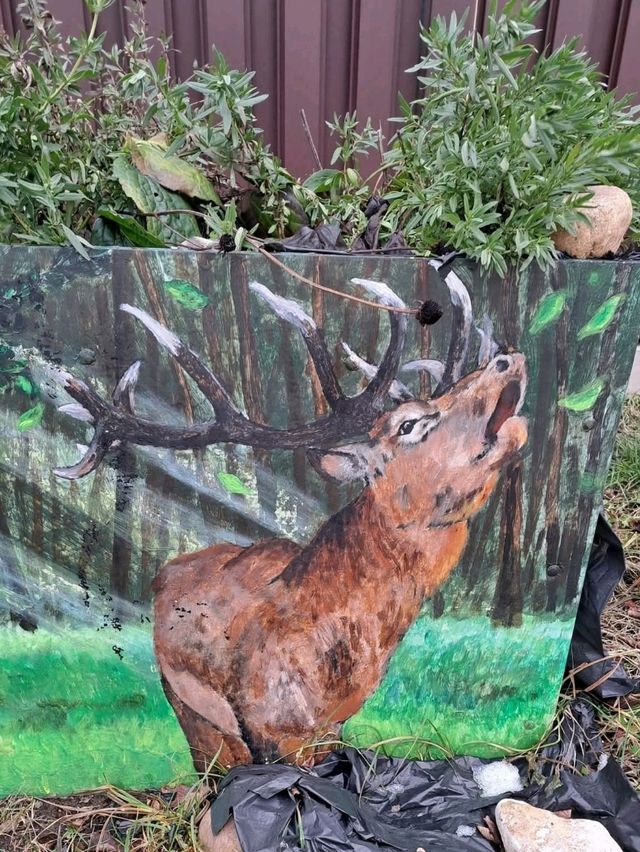 Hidden Graffiti Gem🎨 Hidden Graffiti Gem🎨