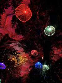 A magical introduction to a world of Christmas lights 🎄✨