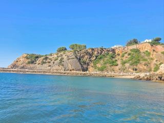 Caves and Dolphins