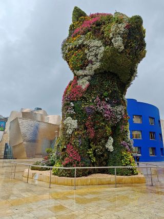 Bilbao: Modern Art & Basque Gastronomy 🇪🇸🎨🍷