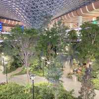 Qatar airport connecting flights waiting 10h