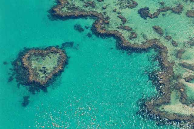 The perfect Great Barrier Reef.