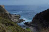 Shark Bay!