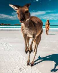 Take a road trip in Australia