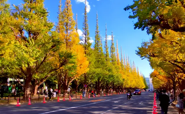 สวนภายนอก Meiji Jingu Ginkgo Boulevard