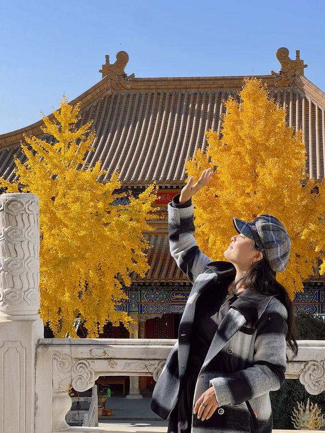 藏在灑金橋鬧市區的千年皇家古寺