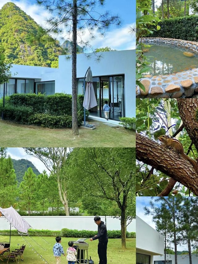 真不在新西蘭在廣東推開門即是山林雲海