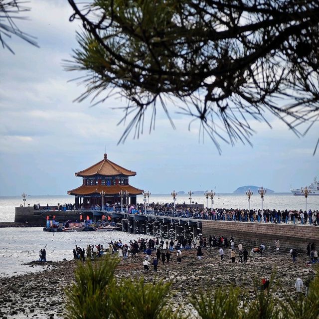 廣州直飛🛫很方便『青島•棧橋』