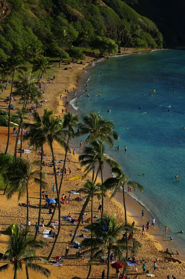 大島夏威夷綠沙灘是夏威夷大島上最著名的景點之一