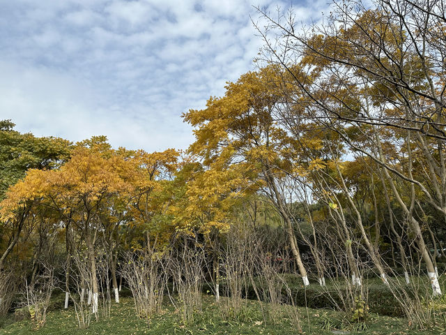 閔行體育公園—冬遊正當時