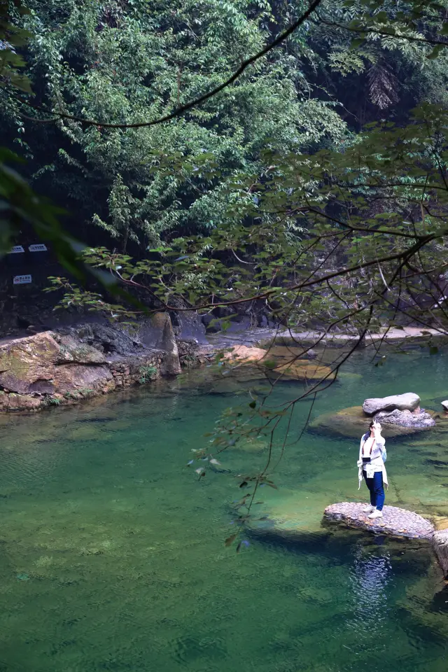 Dinghu Mountain | Take a lung-cleansing trip
