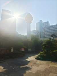 市區裡的寺廟-七塔禪寺