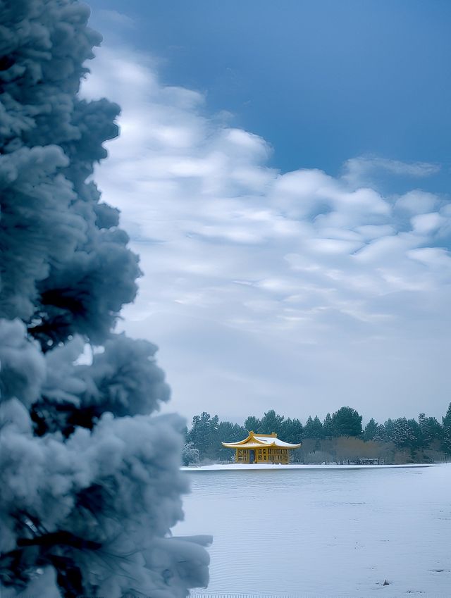 冬季廬山：一場夢幻般的冰雪奇緣