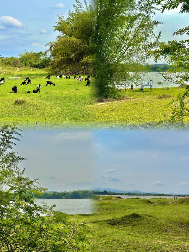 發現惠州橫歷新村露營草地，周末出遊好去處！