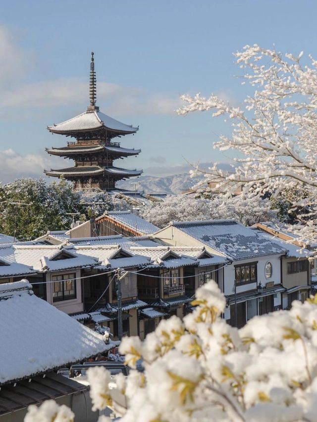 關西賞雪