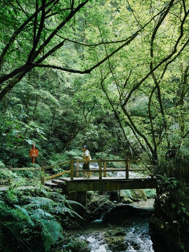 重慶｜沉浸山水間，夏日避暑溪降好清涼