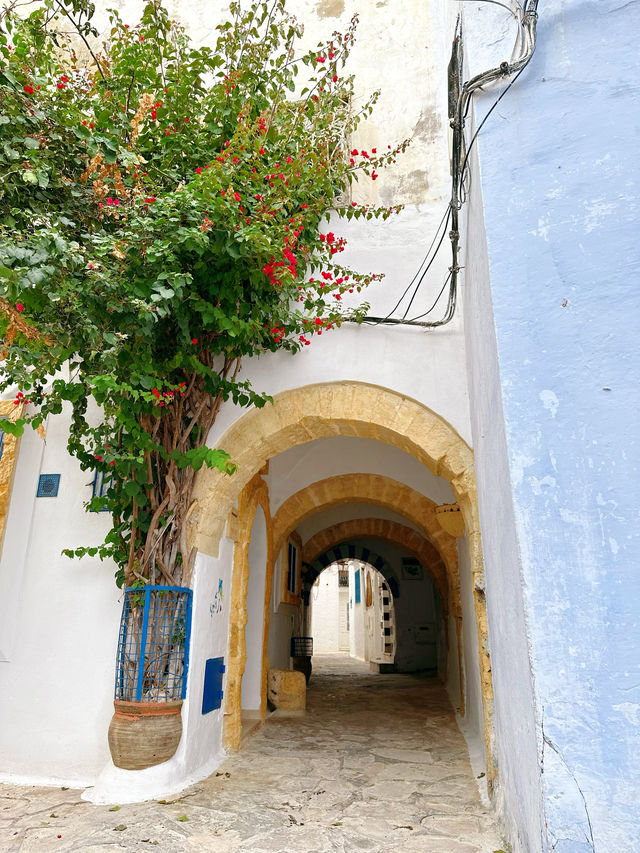 突尼斯的地中海海濱城市——哈馬馬特