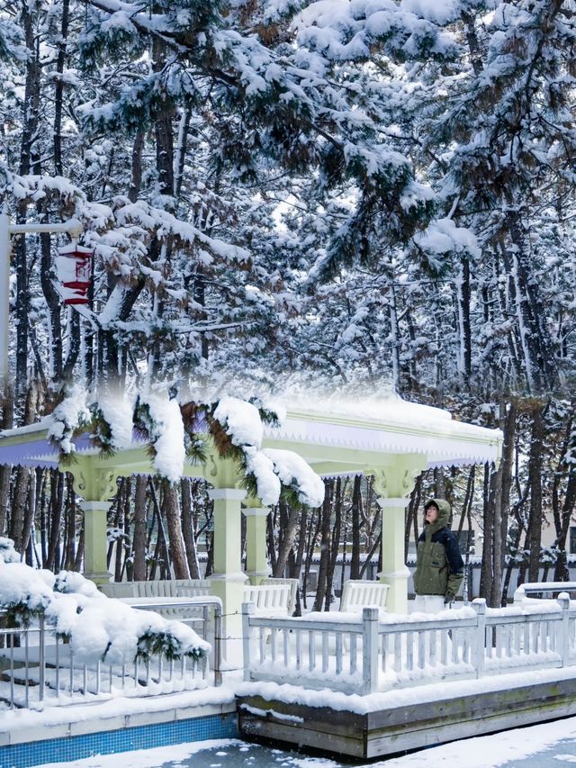 高鐵8小時，只為看一眼下雪的威海有多浪漫！