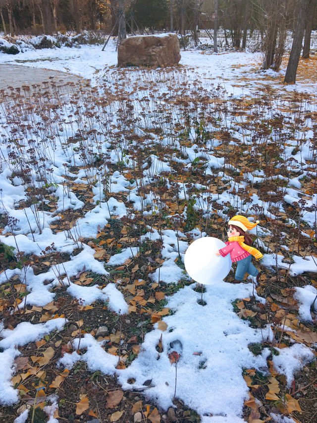 城市漫步｜冰雪萬泉公園