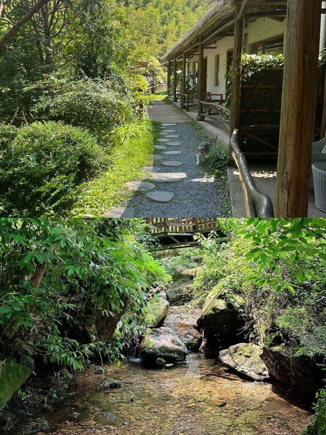 山野夢幻民宿，私享瀑布後花園