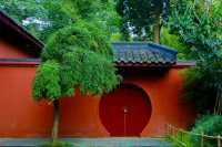 四川成都｜南郊公園｜逛城市中的桃花源