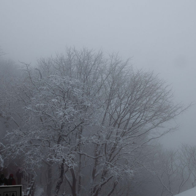 美哭 下雪天的北高峰宛若仙境