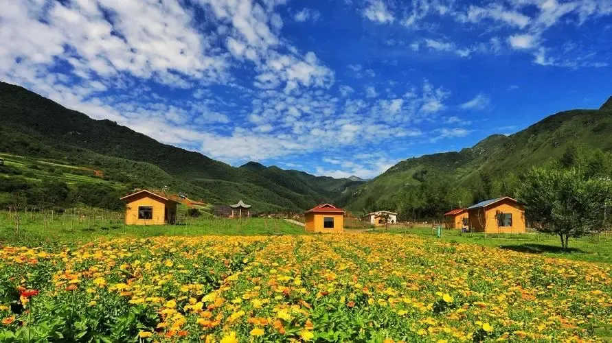 Gặp nhau tại Qili Flower Sea