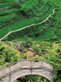 這裡有日出雲海這裡有梯田古村