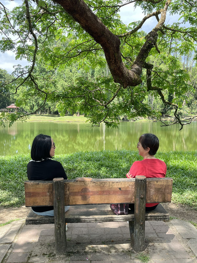 絕美的太平湖和Raintree Walk