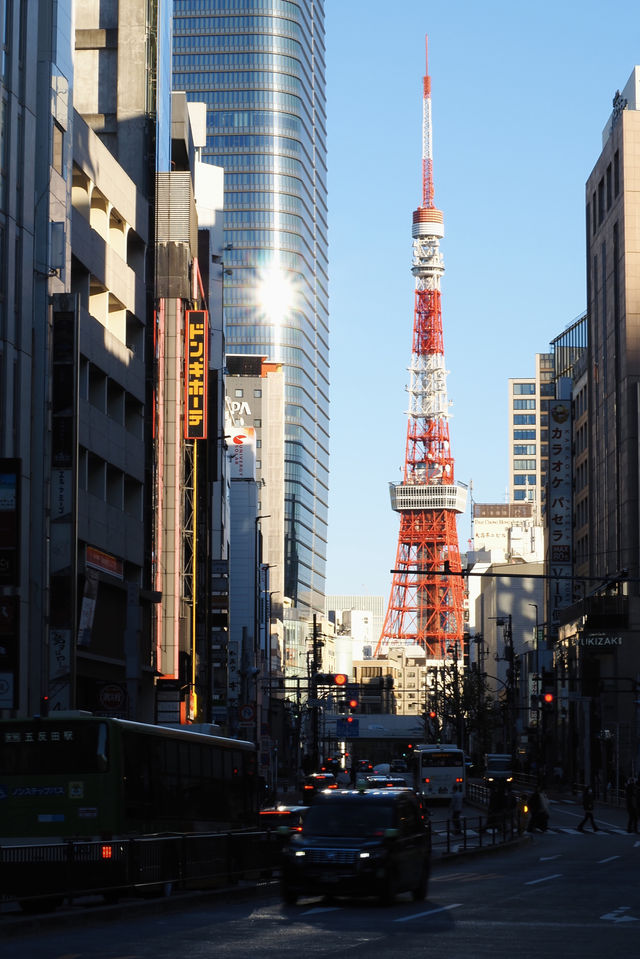 日本東京city walk ，每天去對一個地方！