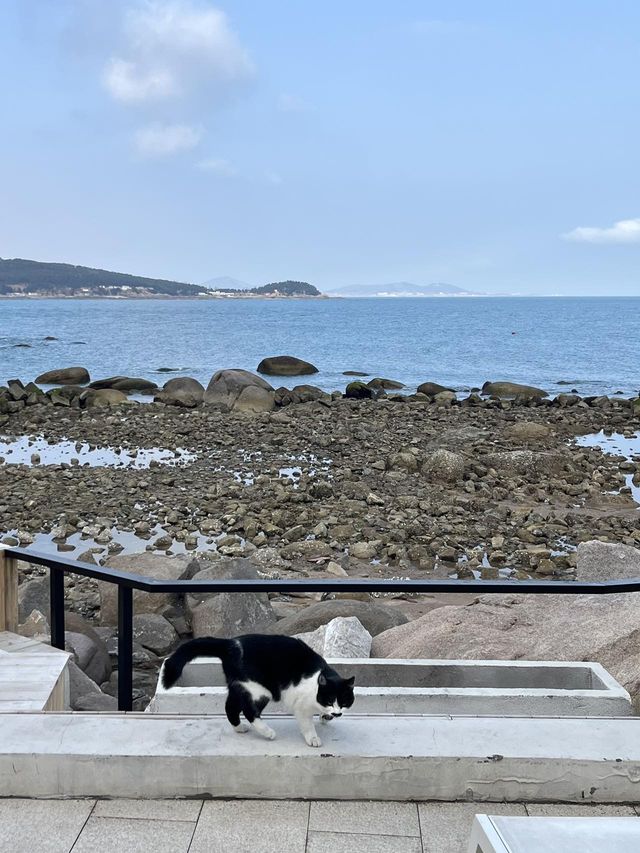 在青島！住進了夢中海景民宿…