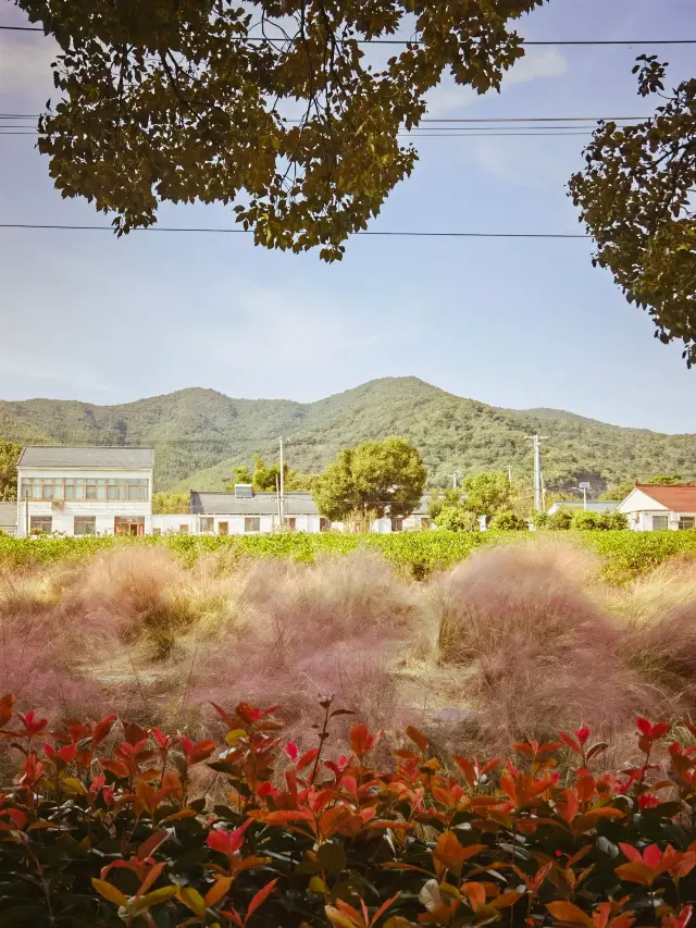 이 해 어디도 가지 않고, 그냥 이싱 죽해에서 머무르려고 합니다!