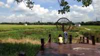 東莞水鄉濕地公園，周末親子遊好去處