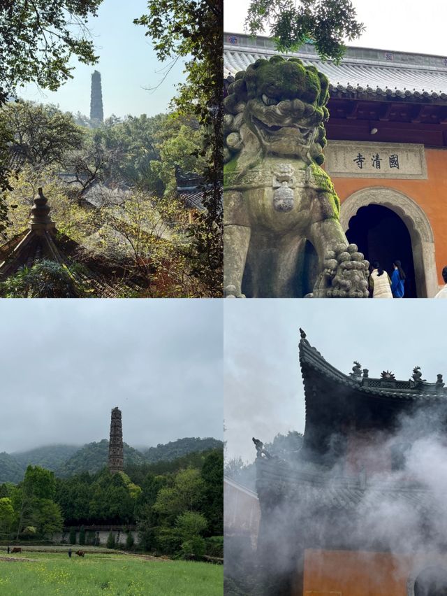 浙江文旅局你不宣傳國清寺糊塗啊