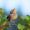 StellaWhisper_13