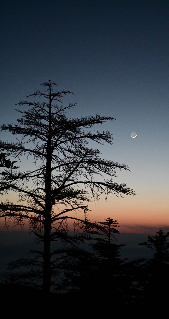 觀雲海日出，遠眺貢嘎雪山