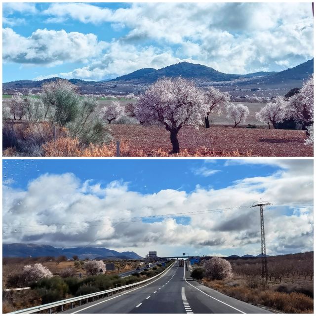 冬季伊比利亞公路之旅—杏花篇