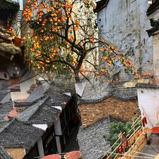 National Geographic really didn't lie to me - China's most beautiful countryside is indeed worth a visit