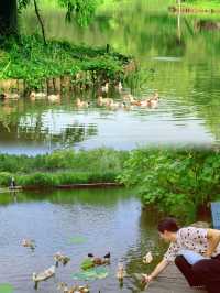 藏在濕地公園裡的寶藏民宿
