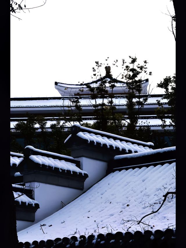 雪後揚州城|雪落千寒