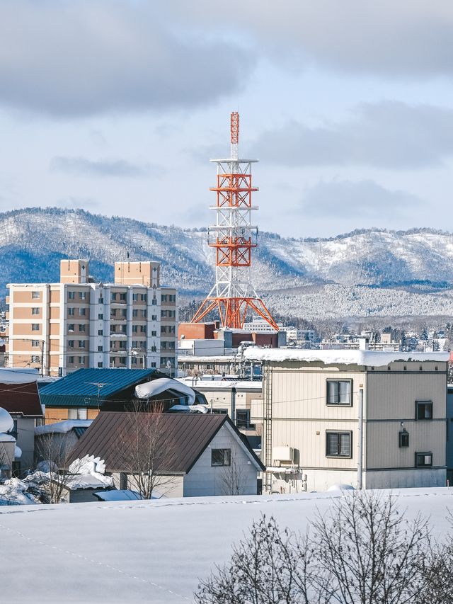 來北海道旅行必知的十件事！