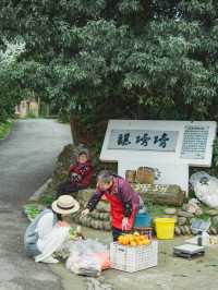 成都周邊｜太愛這個茶園裡開滿櫻花的文藝村