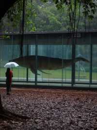在廣州這個末日科幻感公園太適合陰雨天了
