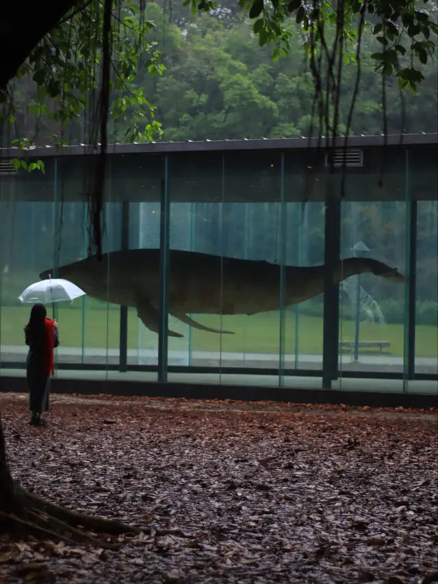 The post-apocalyptic sci-fi park in Guangzhou is perfect for a rainy day