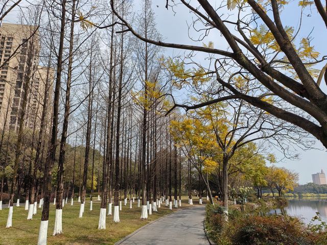 帶小孩去南湖公園感受春的氣息