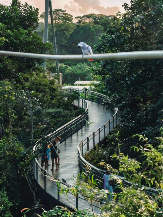 迄今為止去過最好的鳥類動物園！